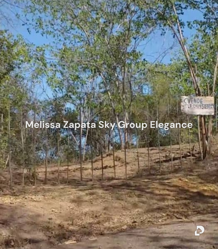 Terreno en Las Palmas, Barquisimeto – 10