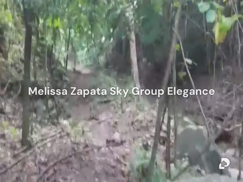 Terreno en Las Palmas, Barquisimeto – 4