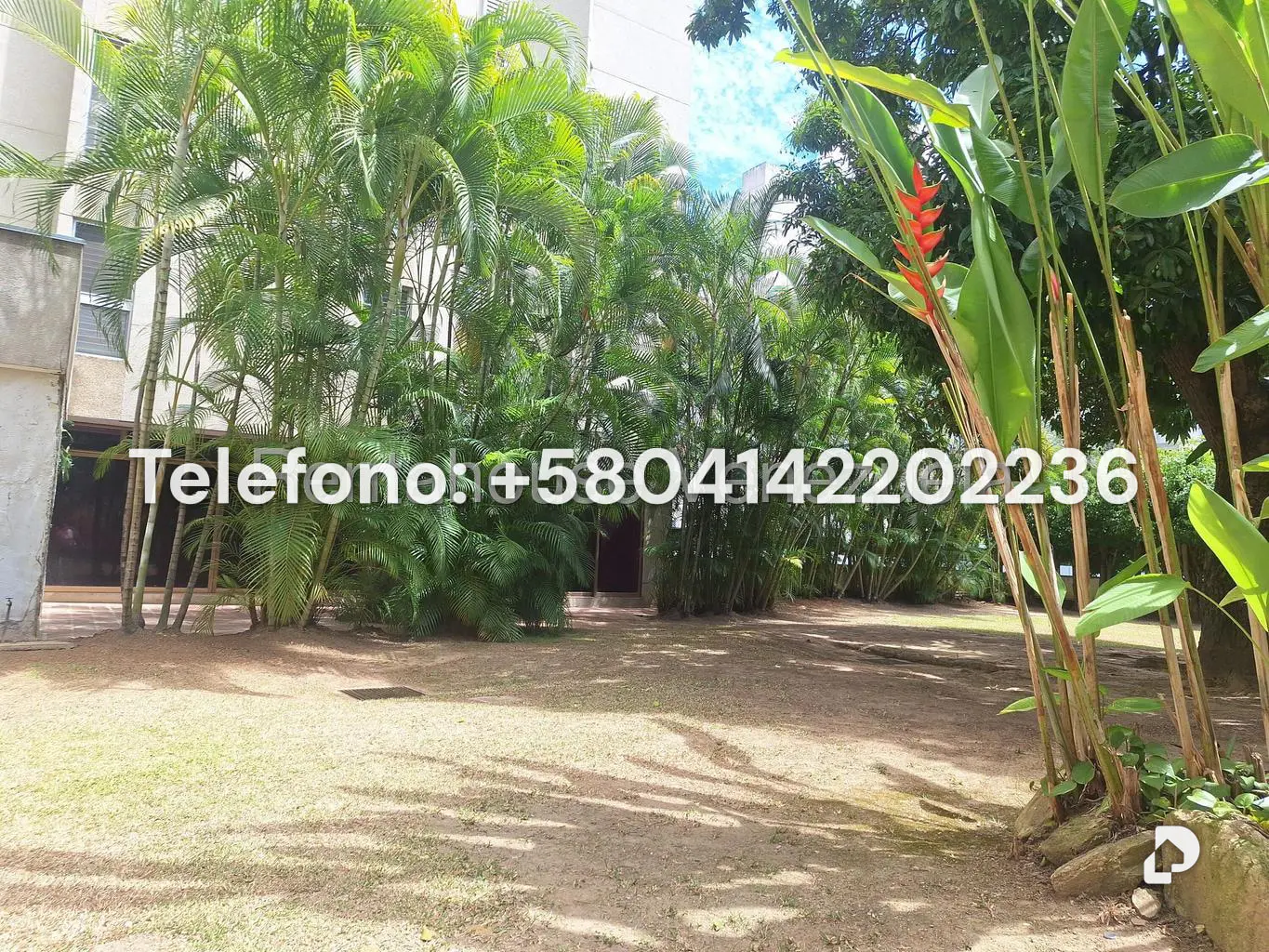 Apartamento en Los Palos Grandes, Caracas – 6