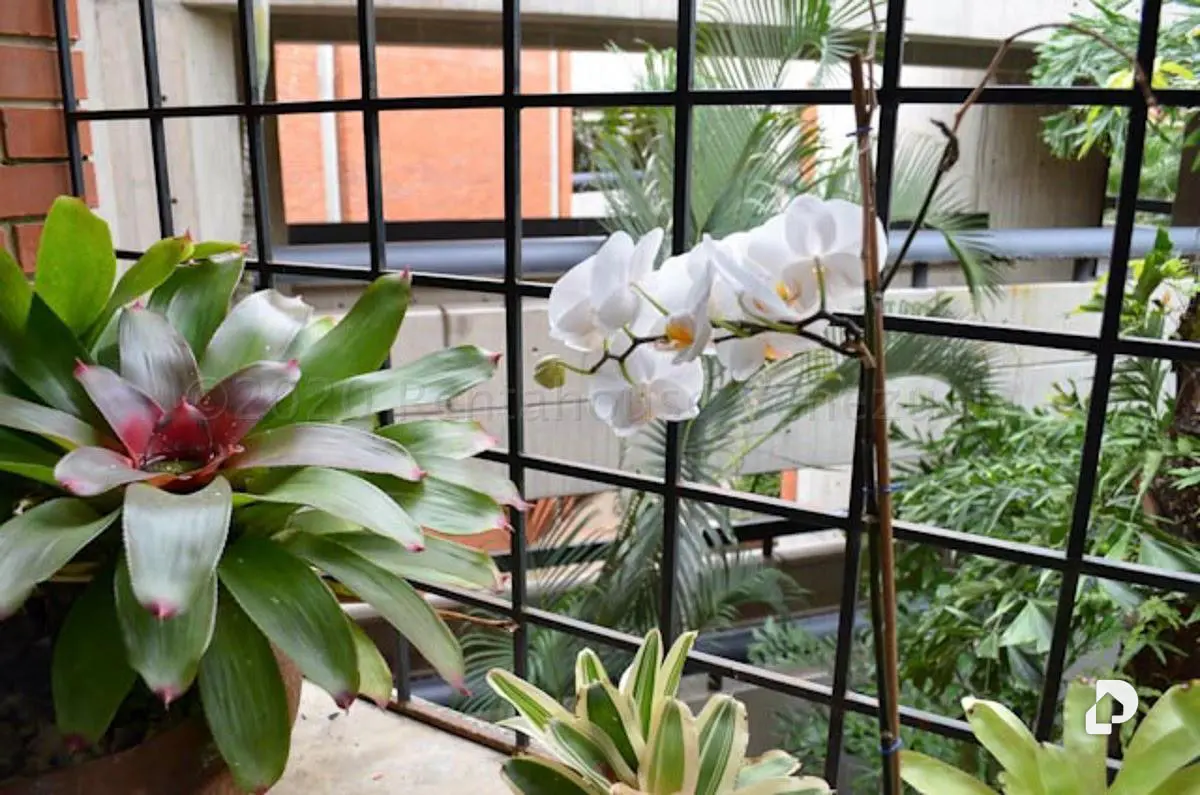 Apartamento en Chulavista, Caracas – 17