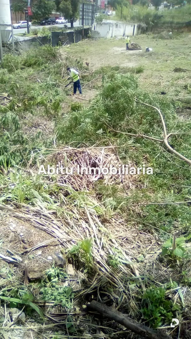 Terreno en Lomas de Prados del Este, Caracas – 3