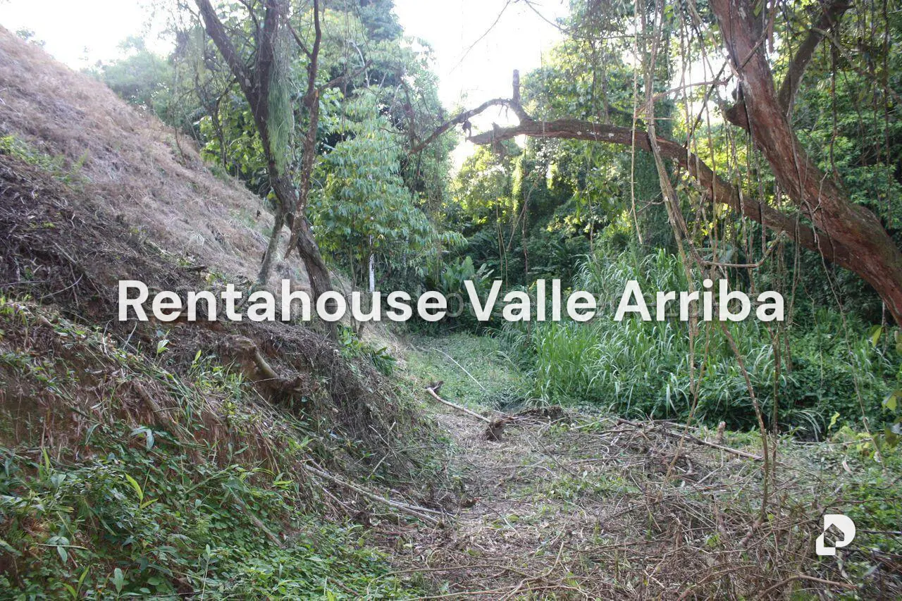 Terreno en La Unión, Caracas – 2