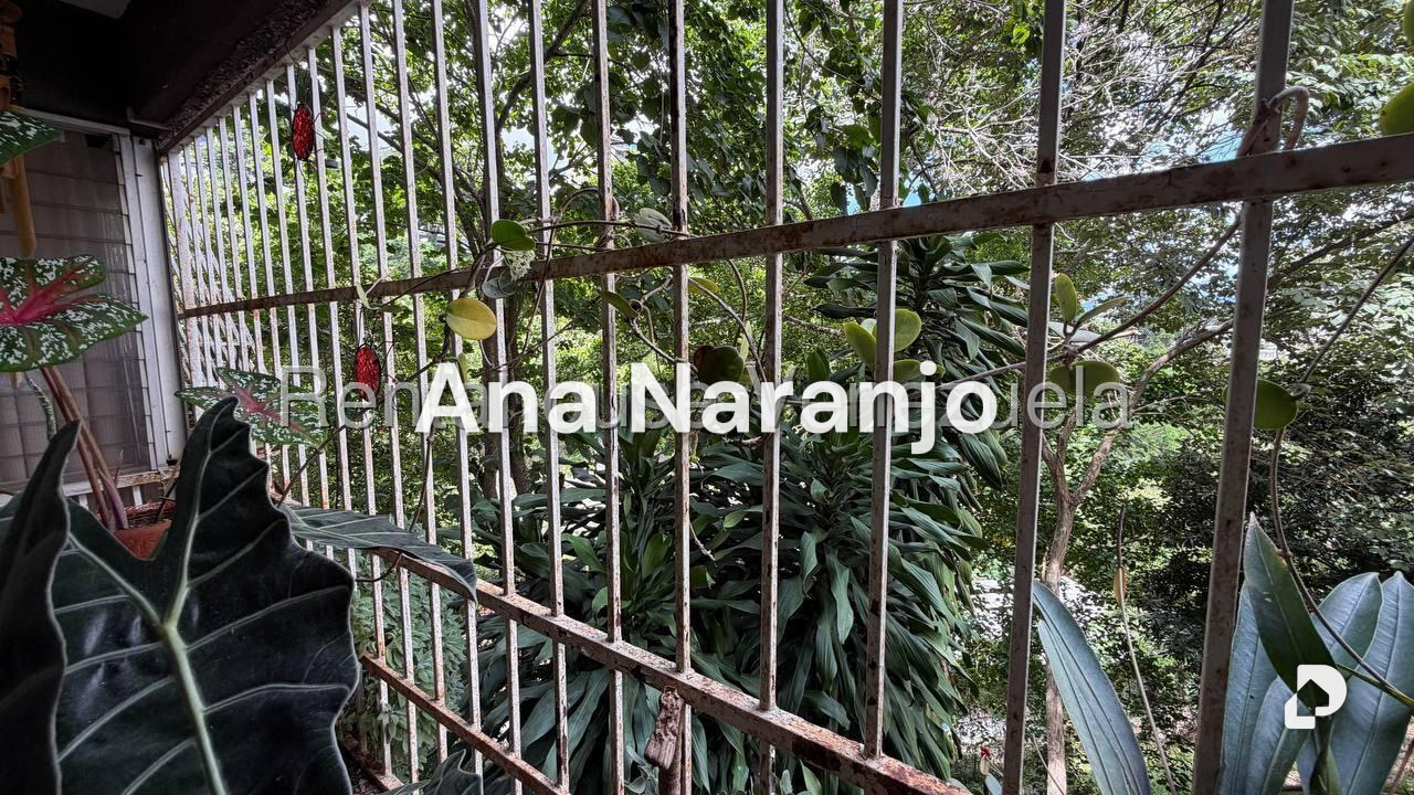 Apartamento en Colinas de Bello Monte, Caracas – 14