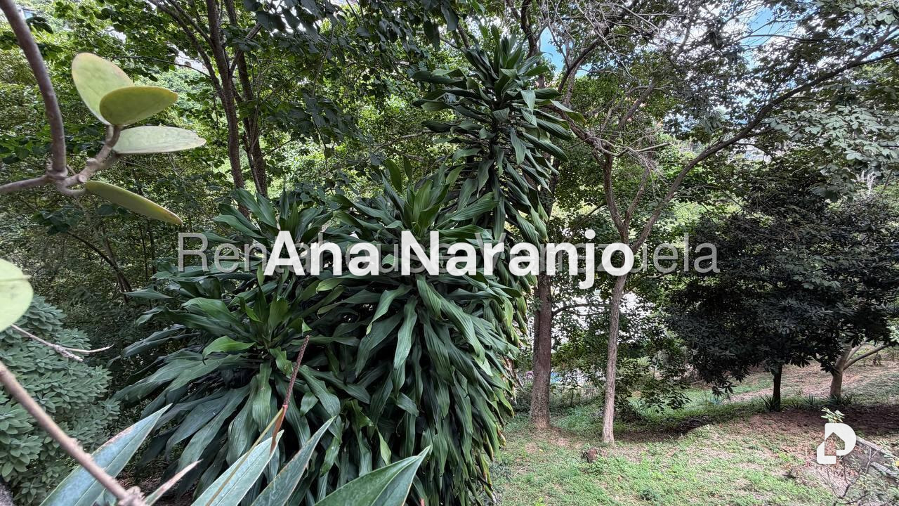 Apartamento en Colinas de Bello Monte, Caracas – 15