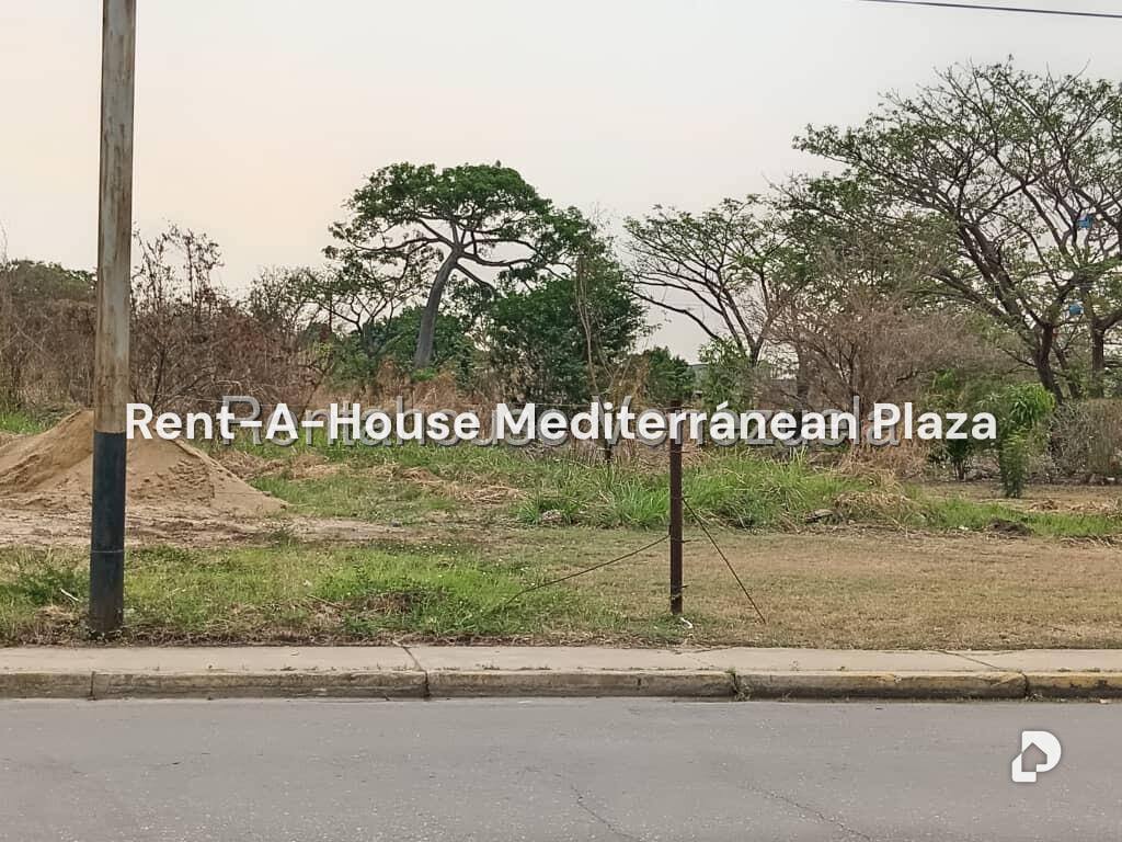 Terreno en Flor Amarillo, Valencia – 18