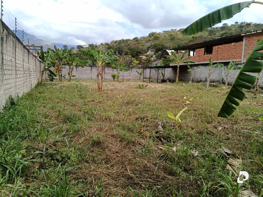 Terreno en San Diego – 5