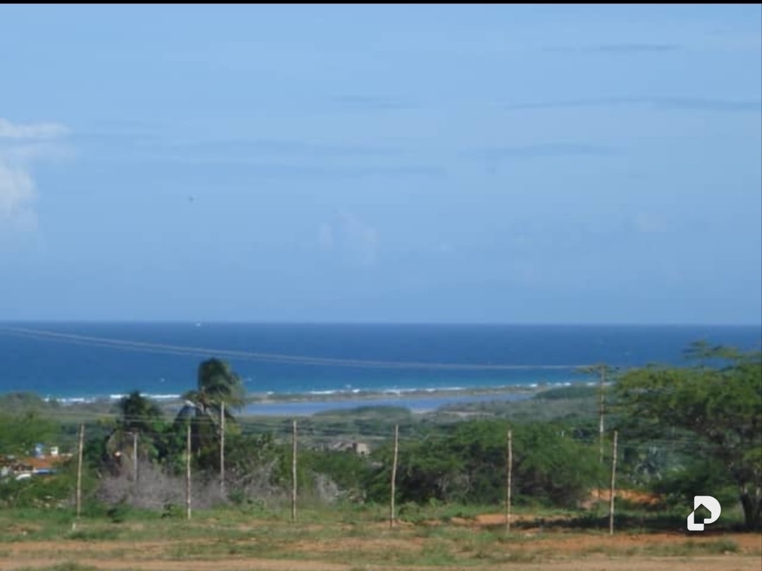 Terreno en Guacuco, Arismendi – 3
