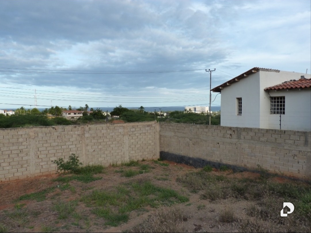 Terreno en Guacuco, Arismendi – 5