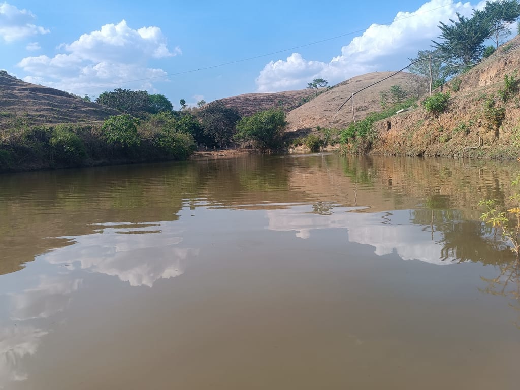 Finca en Tinaquillo - 1