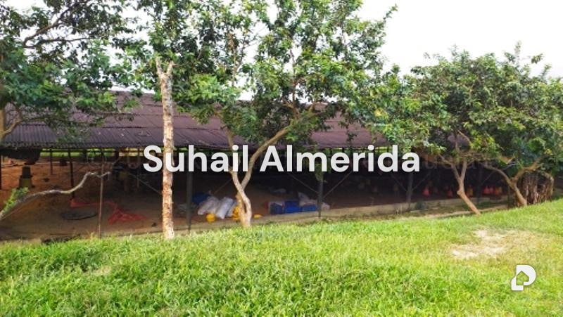 Finca en Canoabo, Bejuma – 27
