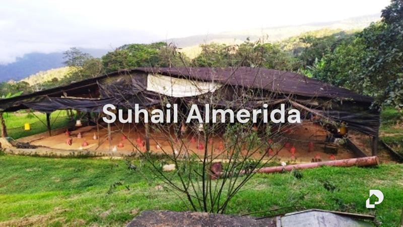 Finca en Canoabo, Bejuma – 1