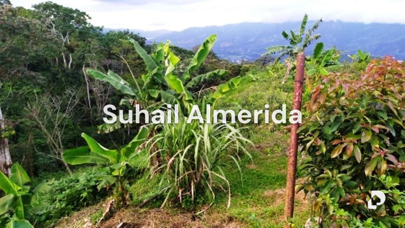 Finca en Canoabo, Bejuma – 25
