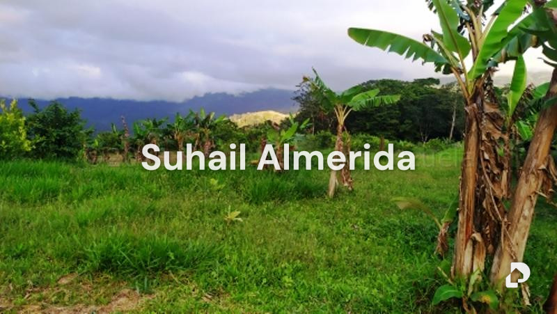 Finca en Canoabo, Bejuma – 30