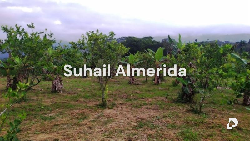 Finca en Canoabo, Bejuma – 17