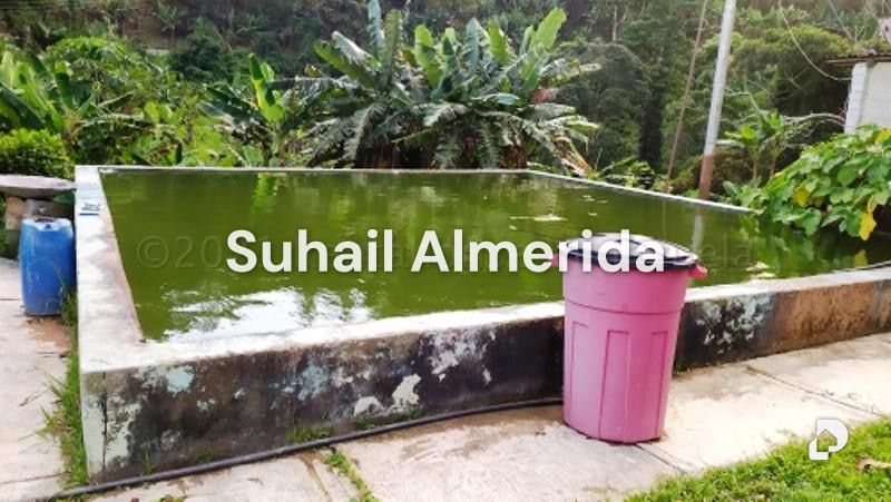 Finca en Canoabo, Bejuma – 16