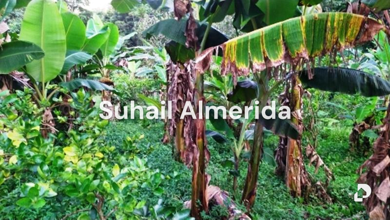 Finca en Canoabo, Bejuma – 20