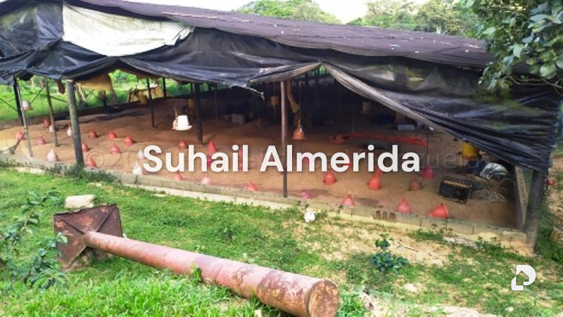 Finca en Canoabo, Bejuma – 15