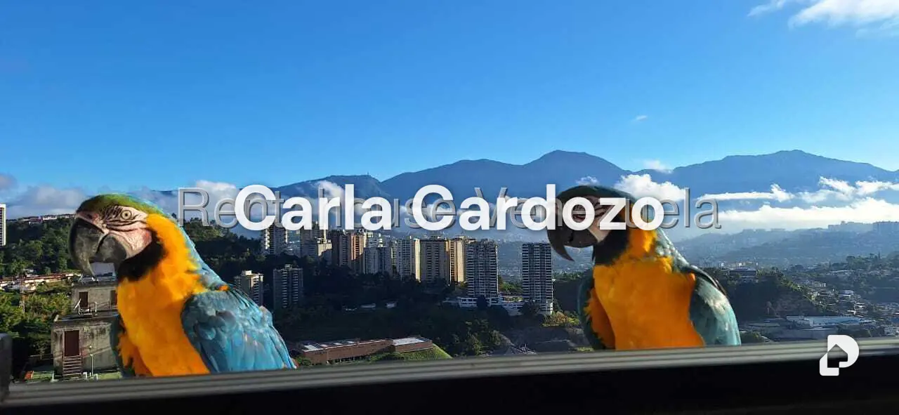 Apartamento en Manzanares, Caracas – 5