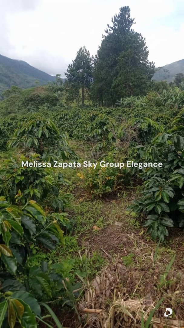 Terreno en El Potrero, Barquisimeto – 3