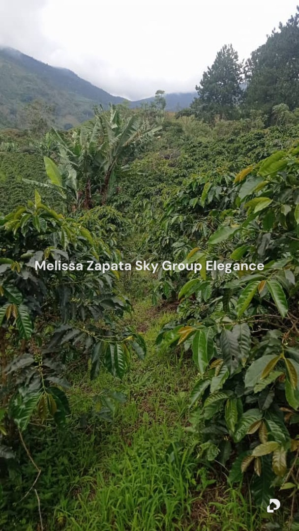 Terreno en El Potrero, Barquisimeto – 7