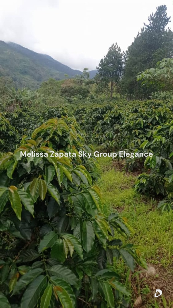 Terreno en El Potrero, Barquisimeto – 1