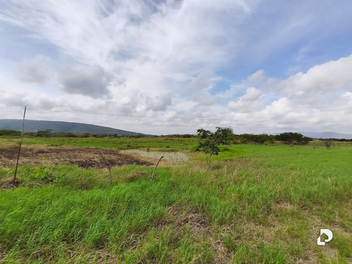 Finca en Las Veritas, Barquisimeto – 8