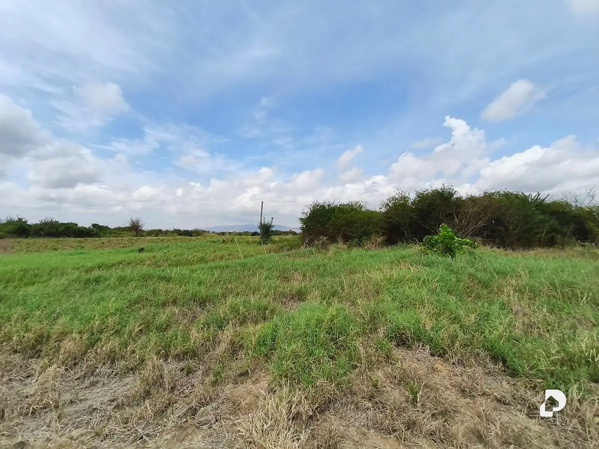 Finca en Las Veritas, Barquisimeto – 2