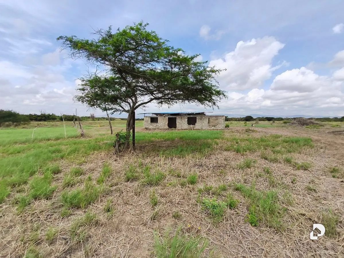 Finca en Las Veritas, Barquisimeto – 3