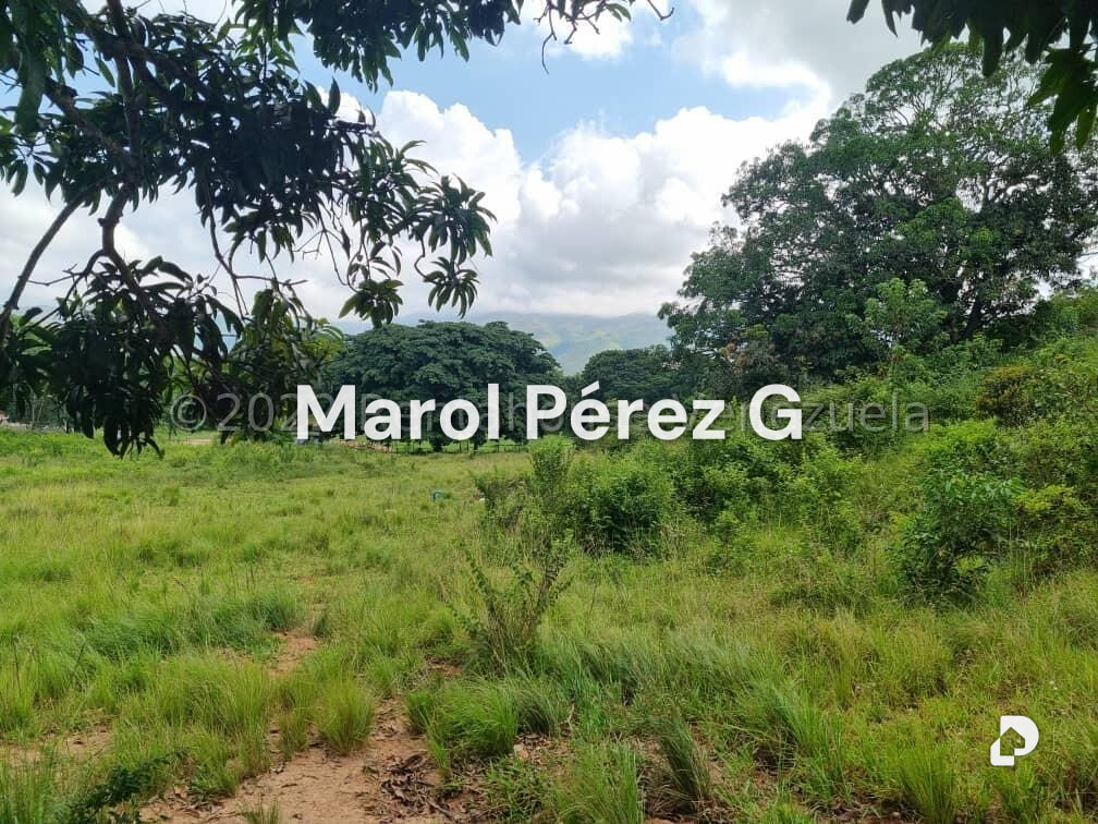 Terreno en Bejuma – 16