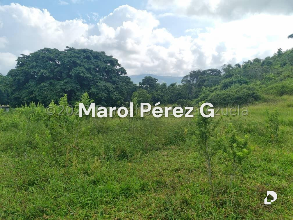 Terreno en Bejuma – 15