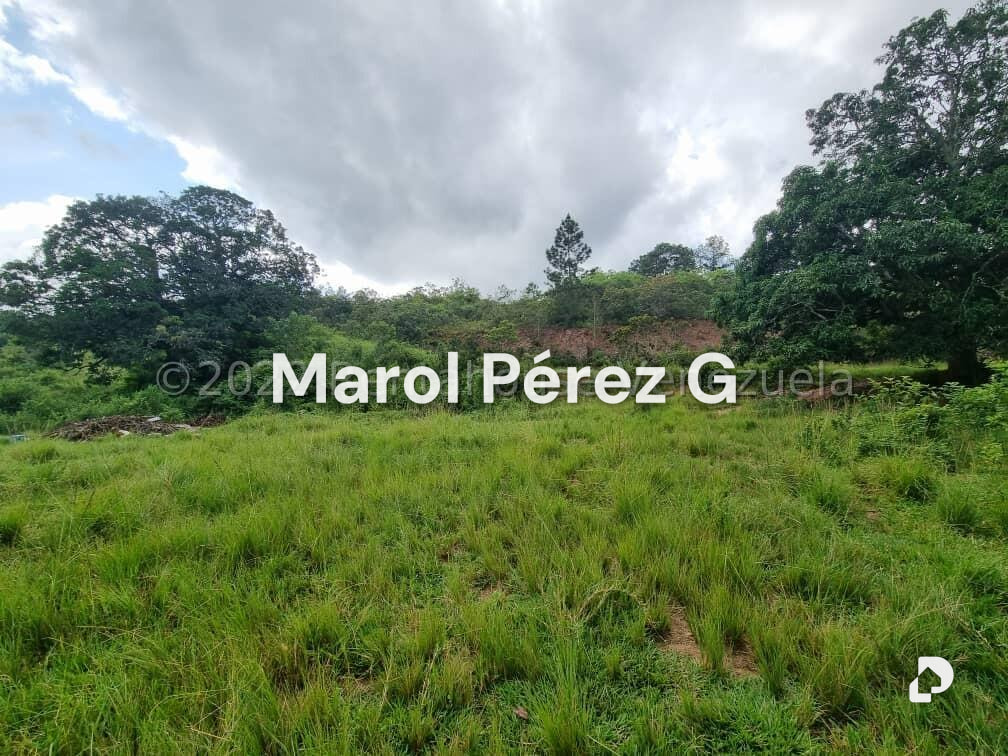 Terreno en Bejuma – 2