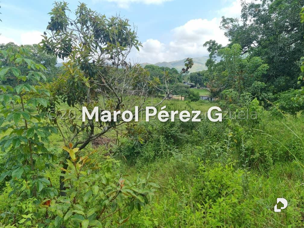 Terreno en Bejuma – 12