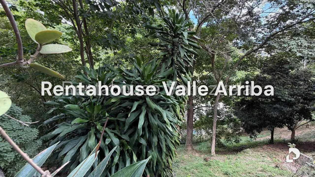 Apartamento en Colinas de Bello Monte, Caracas – 15