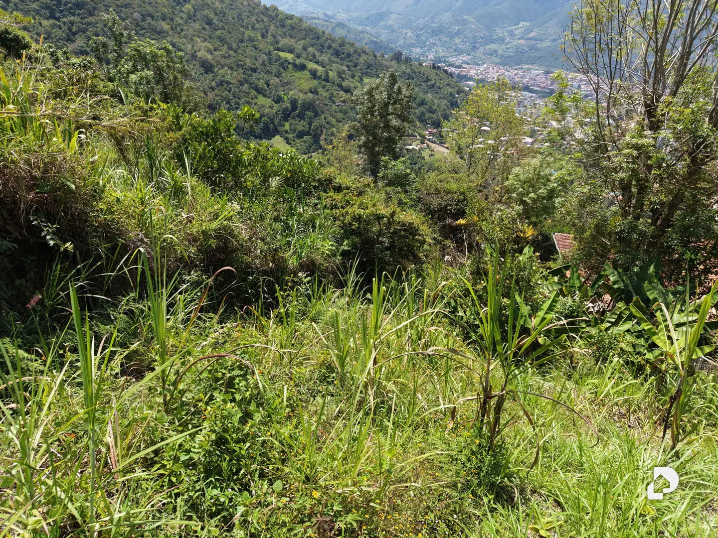 Terreno en El Caucho, Mérida – 2