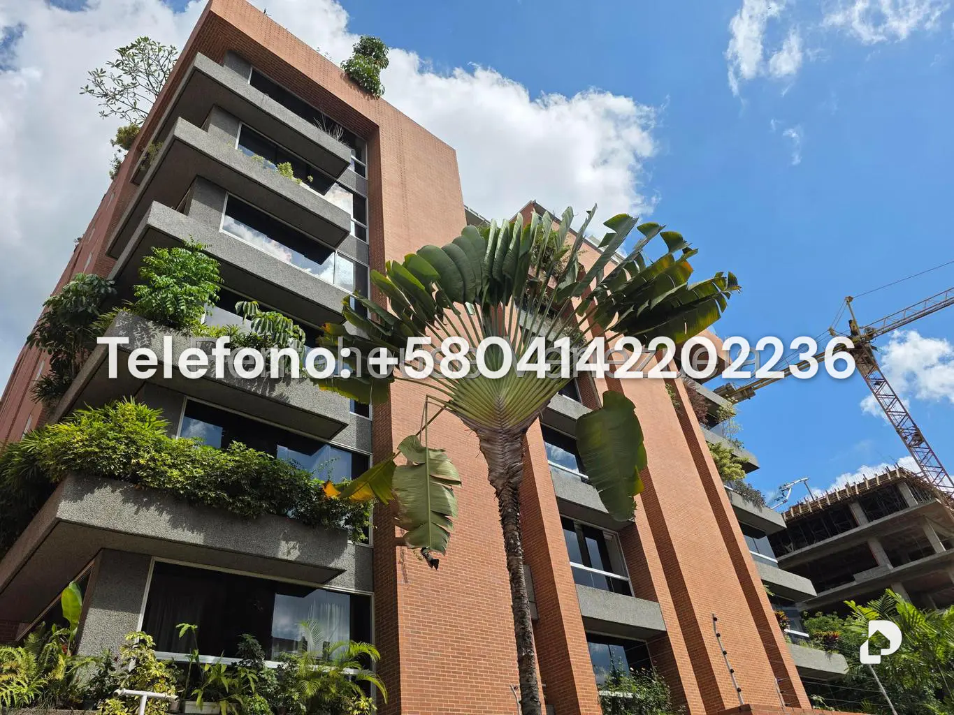 Apartamento en Campo Alegre, Caracas – 1