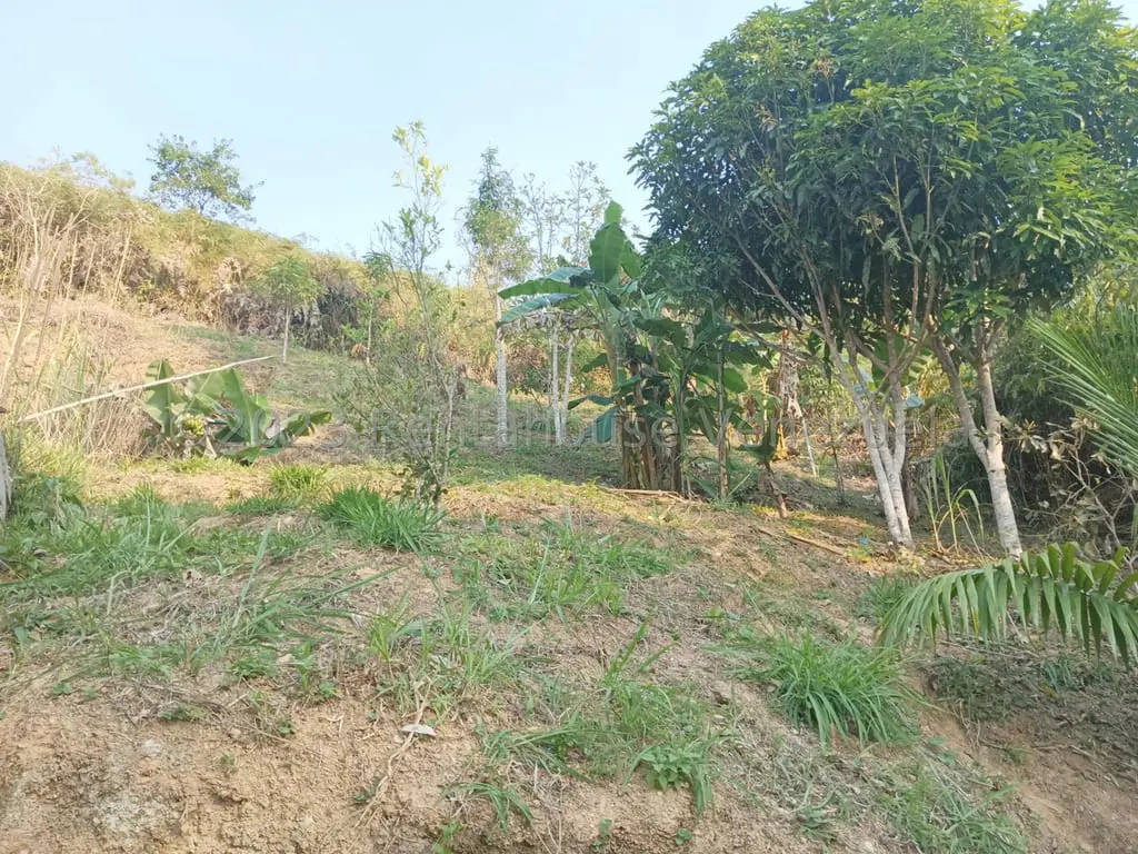 Land in Baruta, Caracas - 1