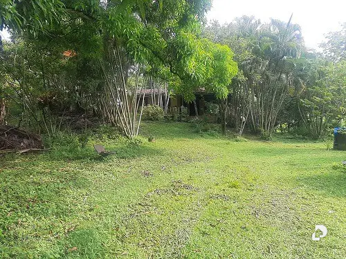 Terreno en Acevedo – 3