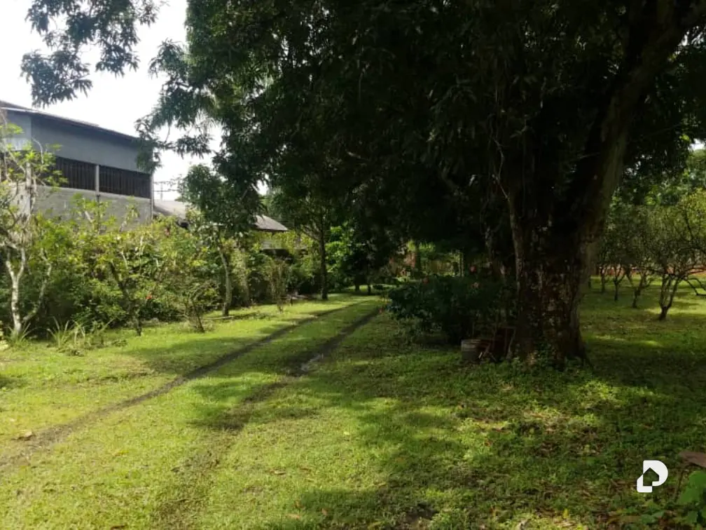 Terreno en Acevedo – 5