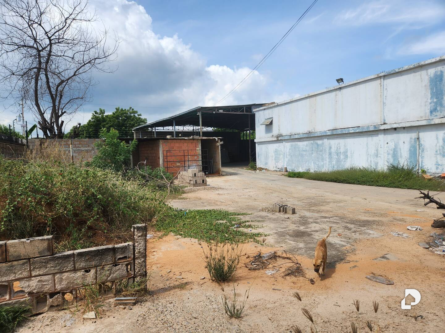 Local comercial en Barrio 19 de Abril, Maracaibo – 8