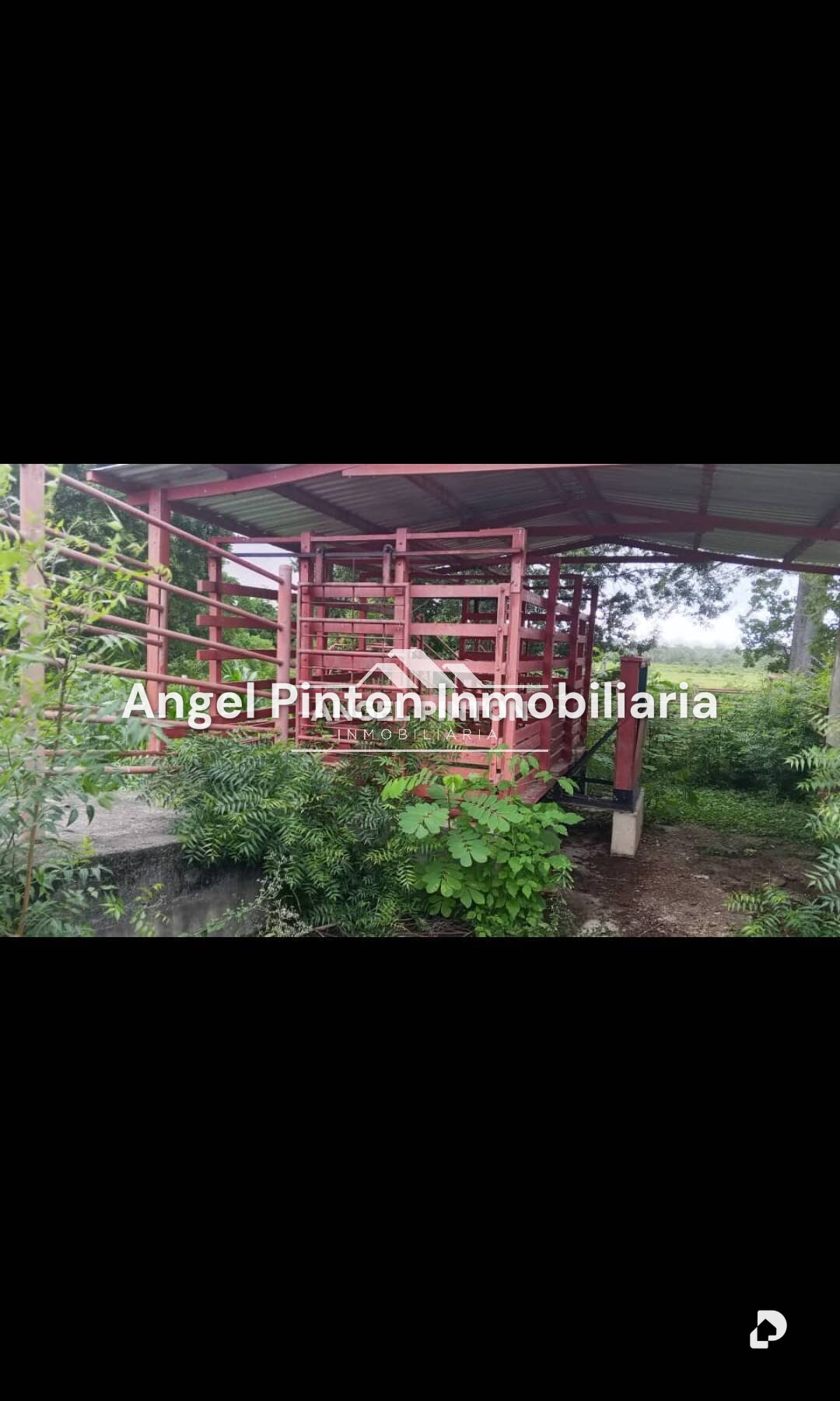 Finca en El Tokuko, Machiques – 24
