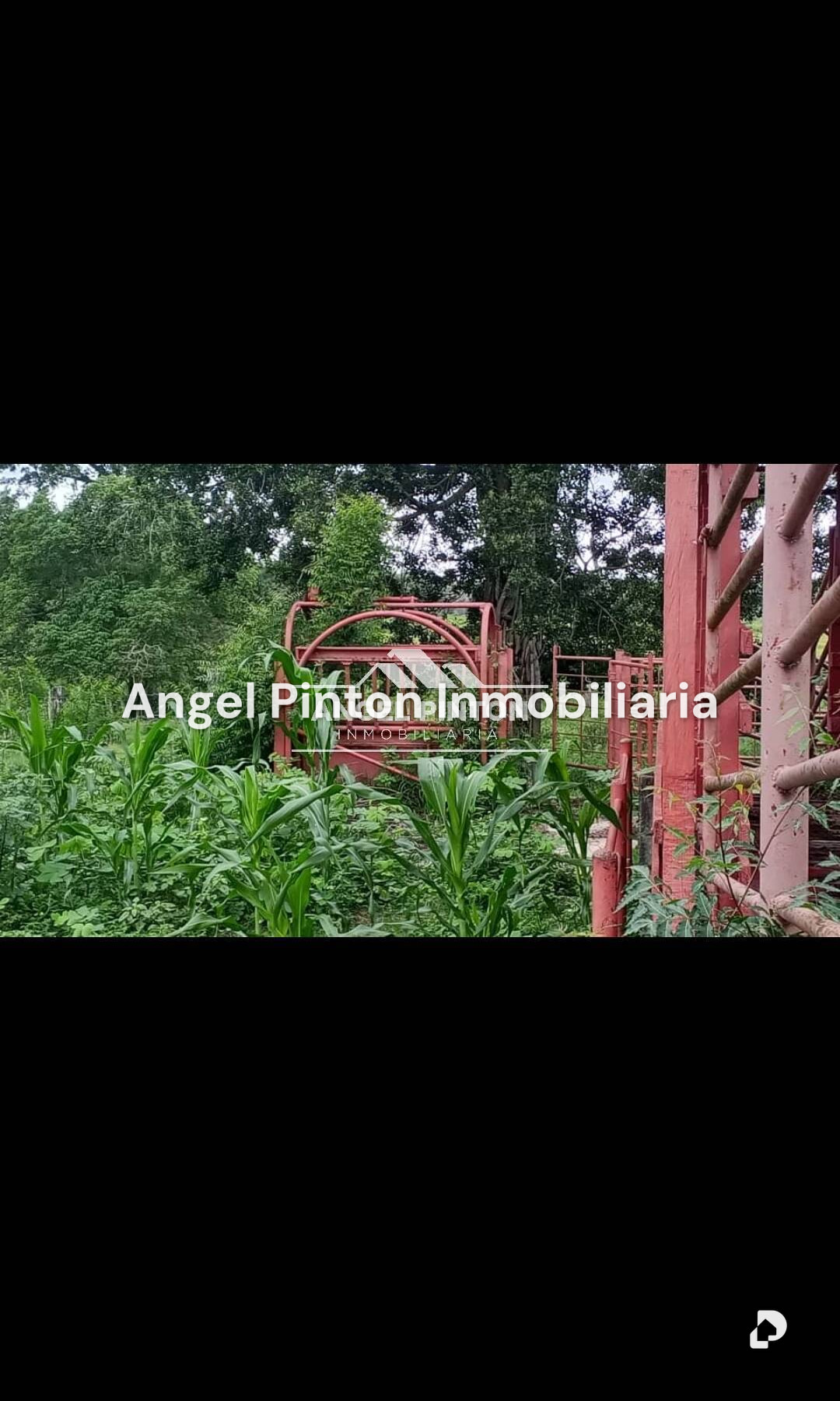 Finca en El Tokuko, Machiques – 23