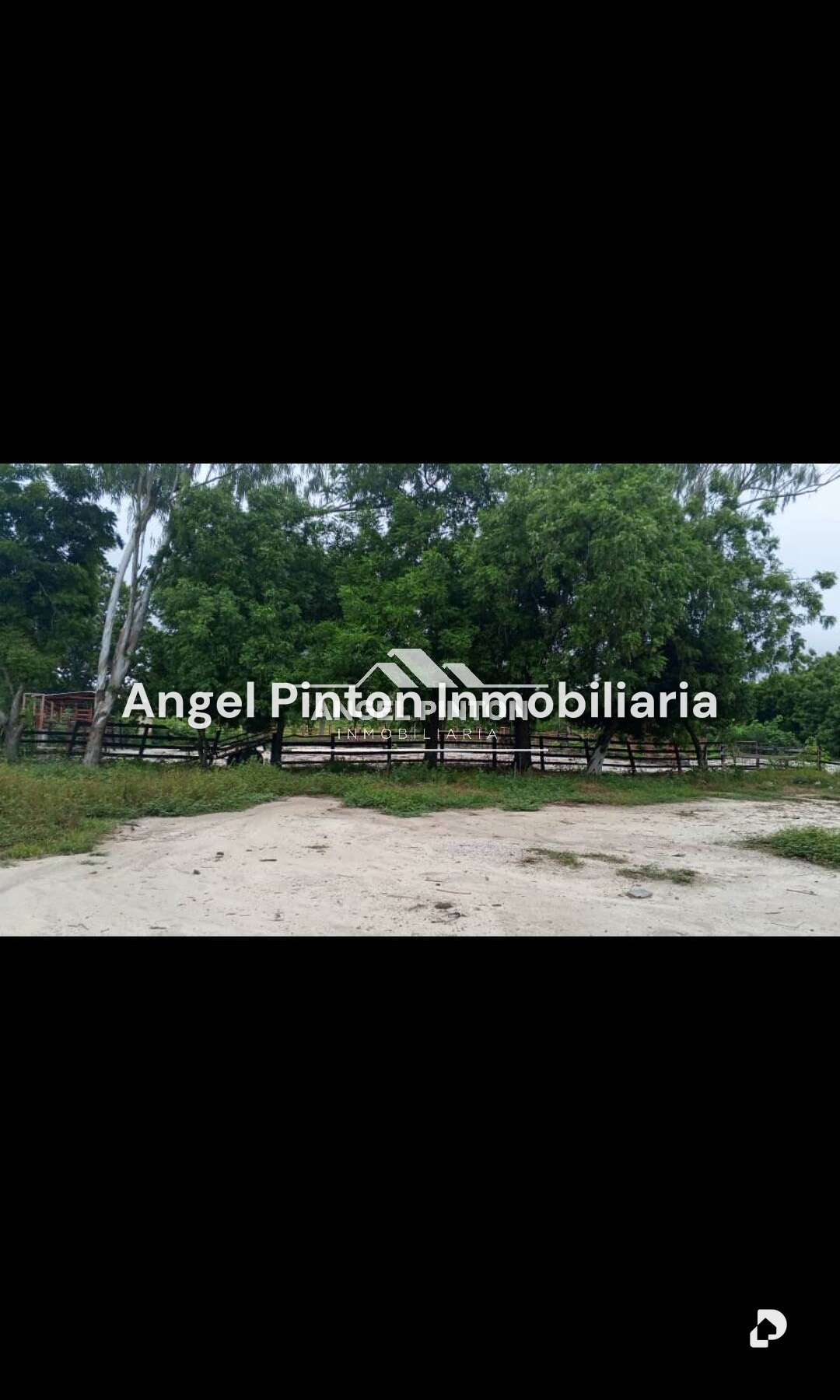 Finca en El Tokuko, Machiques – 12