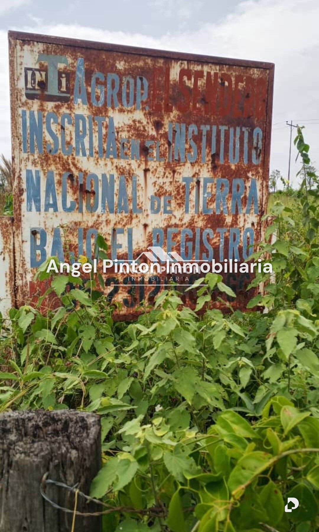 Finca en El Tokuko, Machiques – 19
