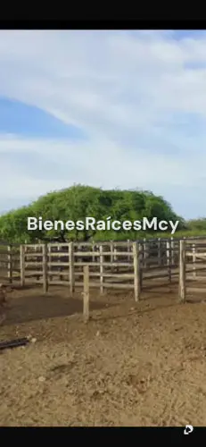Finca en Bejuma – 9