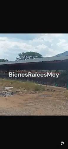 Finca en Bejuma – 4