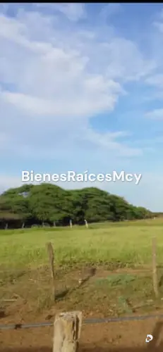 Finca en Bejuma – 8