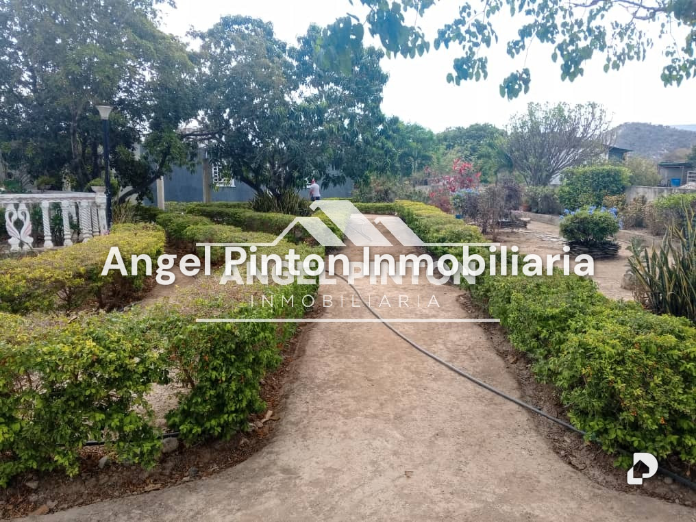 Local comercial en Florencio Jimenez, Barquisimeto – 9
