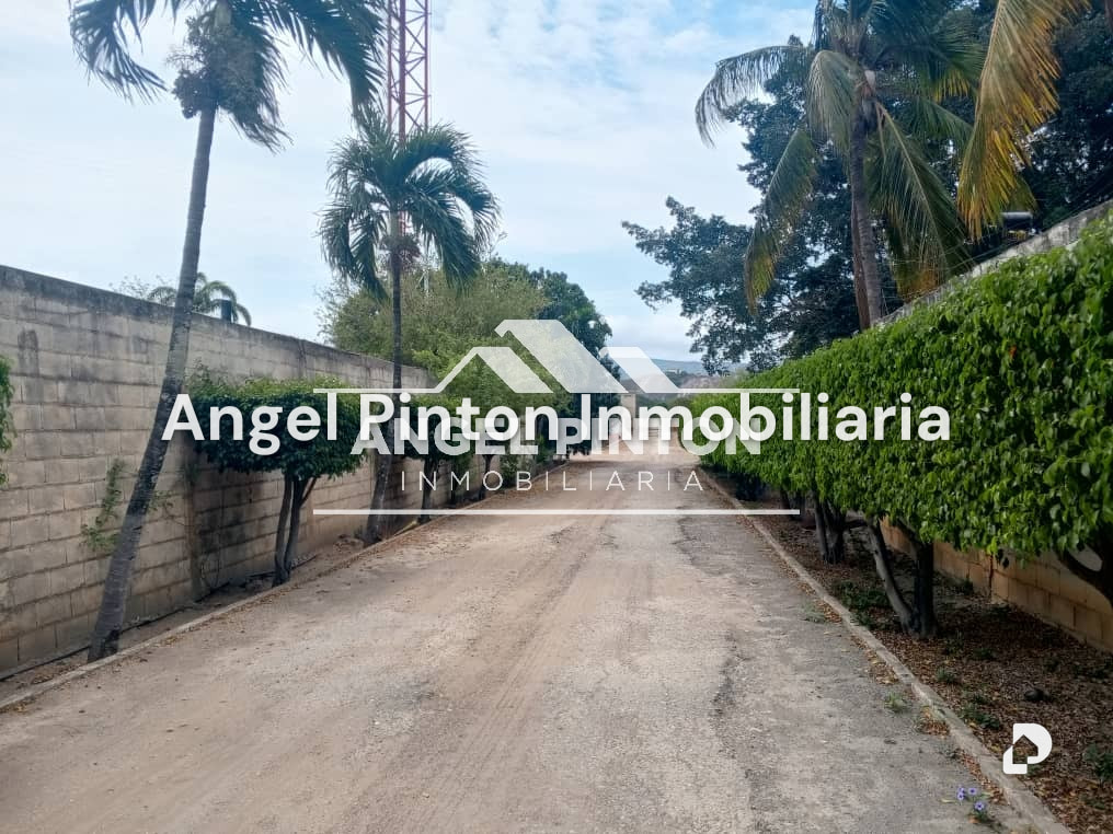 Local comercial en Florencio Jimenez, Barquisimeto – 19