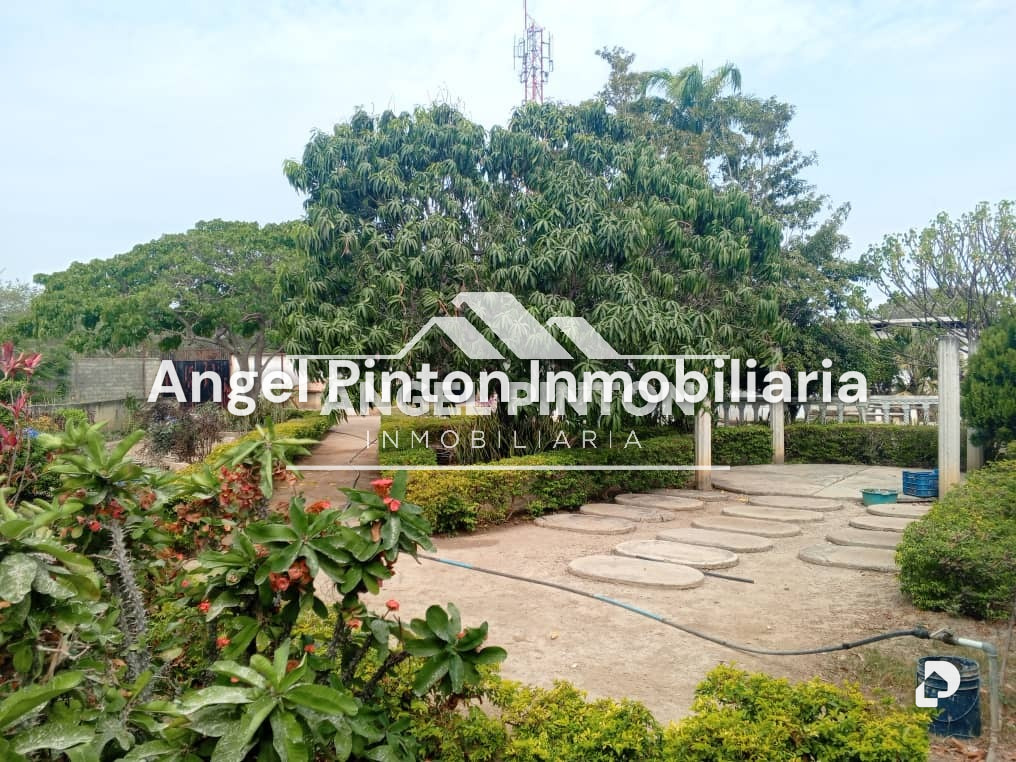 Local comercial en Florencio Jimenez, Barquisimeto – 11