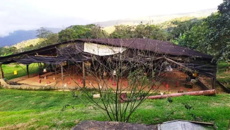 Terreno en Bejuma - 1